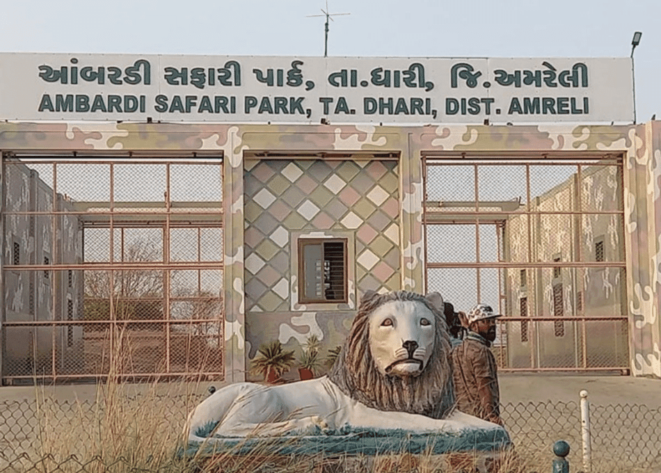 1. Gir National Park: Last Refuge of the Asiatic Lion