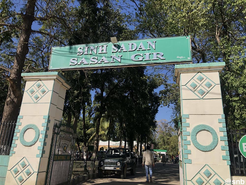 4. Sinh Sadan Forest Reception: Your Safari Hub