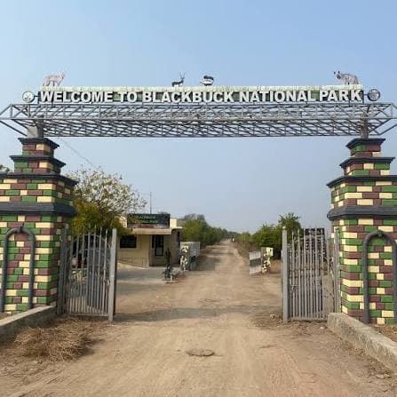 Velavadar National Park (Blackbuck Sanctuary) – Photo 5