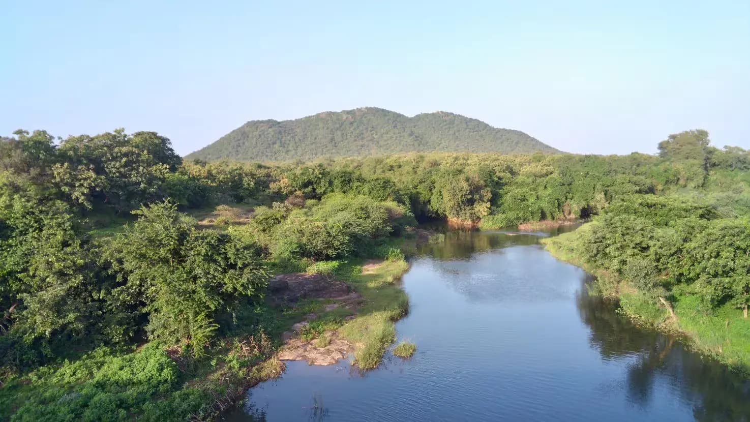 9. Best Season to Visit Sasan Gir