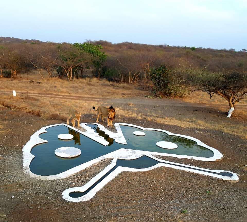 Ambardi Safari Park Gallery Image 1