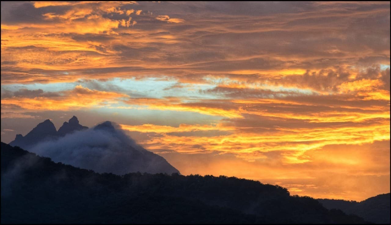 Girnar Nature Safari Gallery Image 1