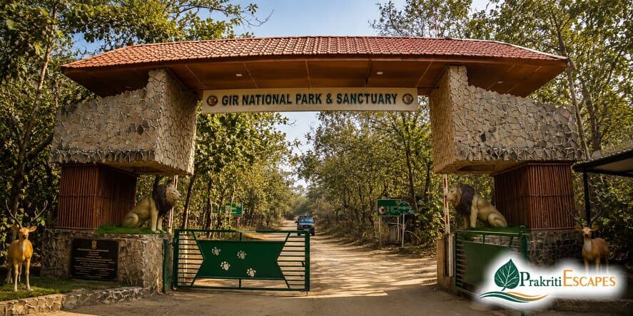 Sasan Gir Wildlife